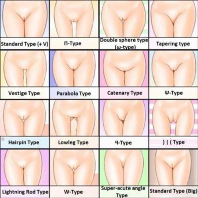 Pussy shapes photo gallery