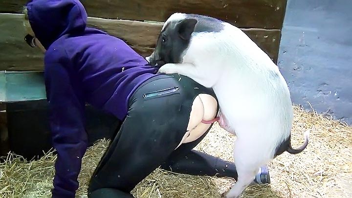 Long hard cock fucks the shit out of a spoiled pig.