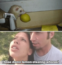 James deen lemon